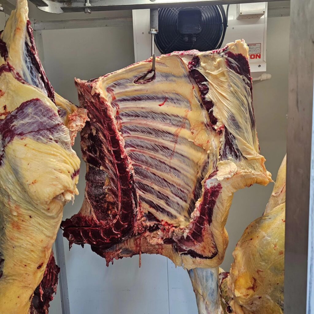 Australian Wagyu Ribeye