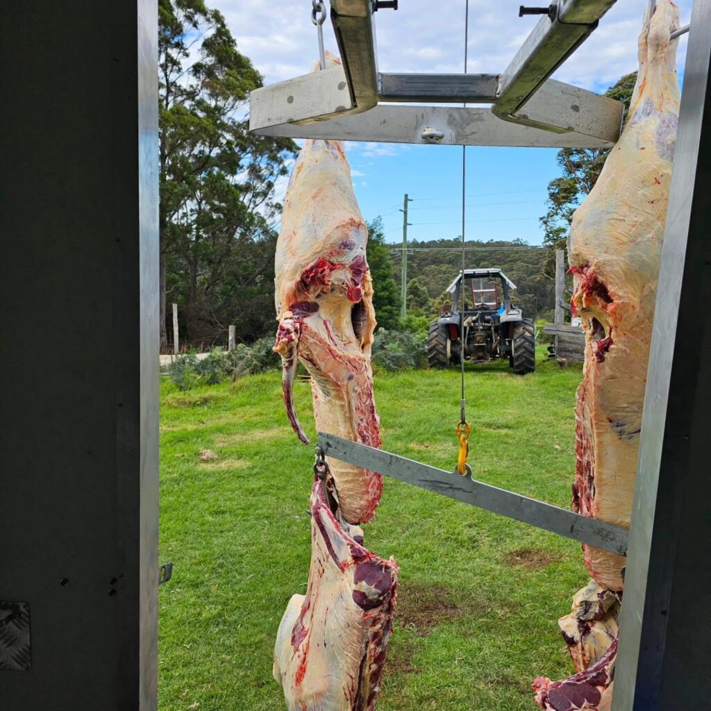 Cheap bulk meat Melbourne