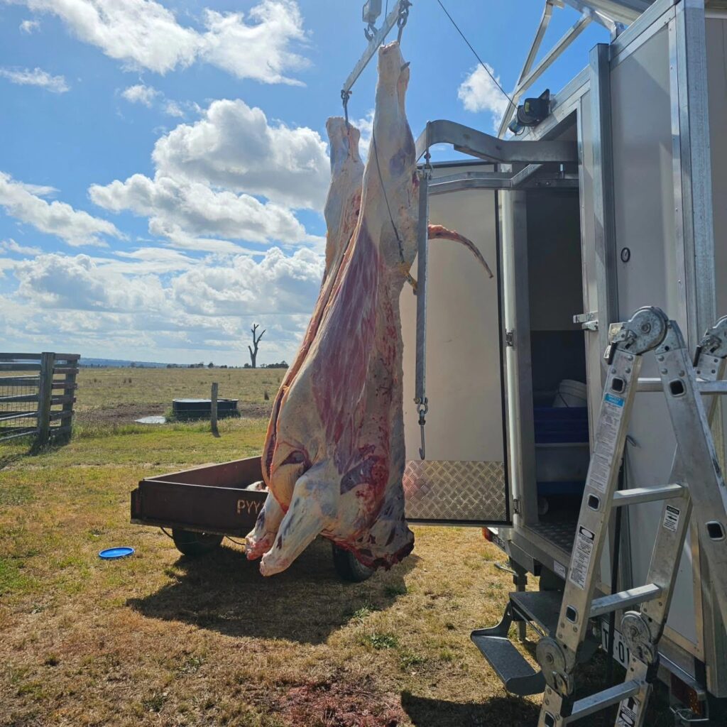 Wholesale meat suppliers Perth