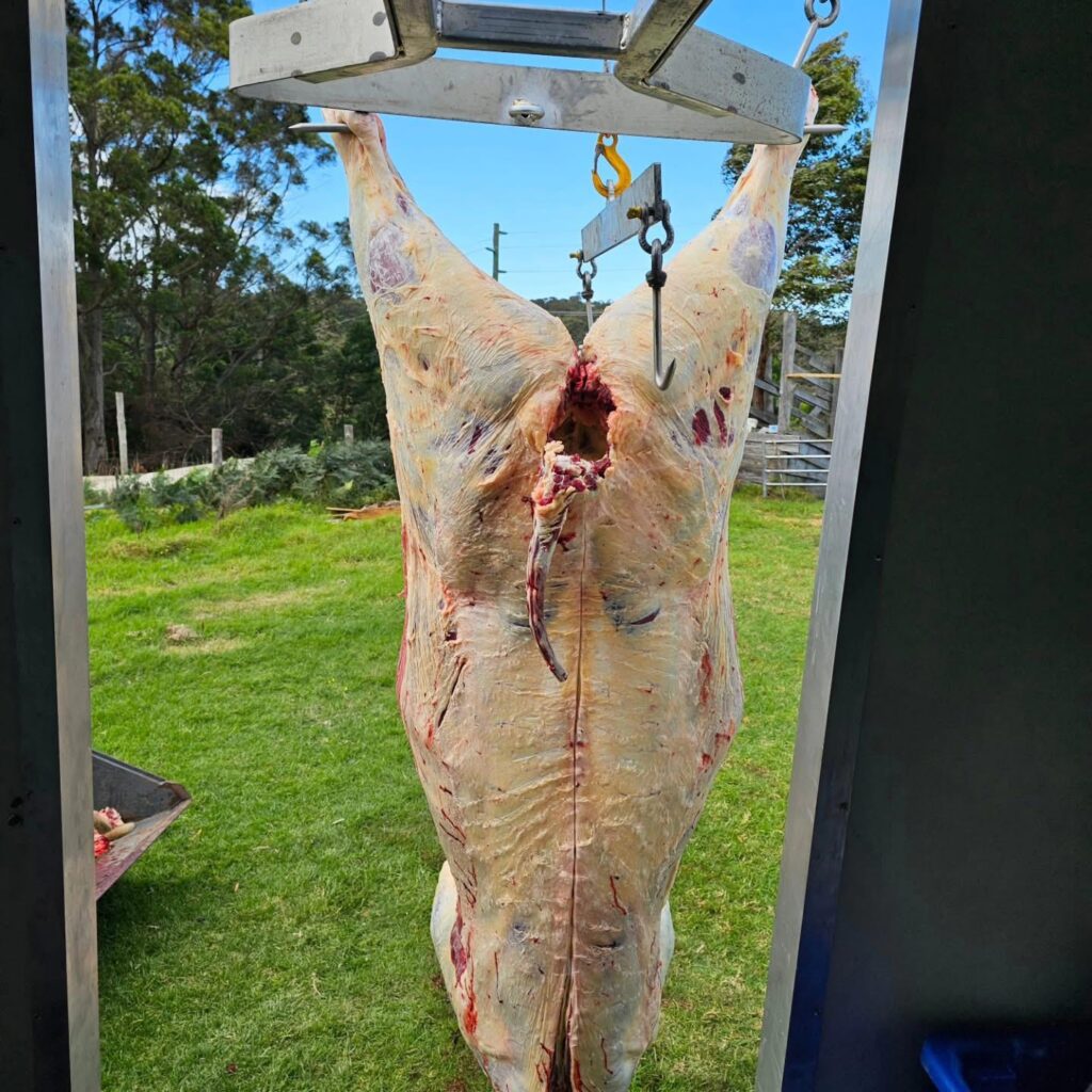 Where can I buy a whole cow butchered Australia online