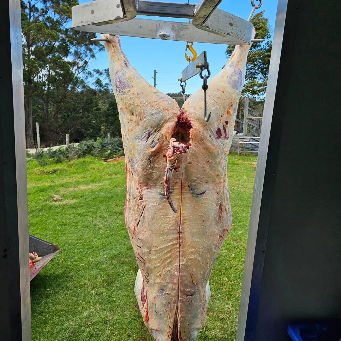 Where can I buy a whole cow butchered Australia online